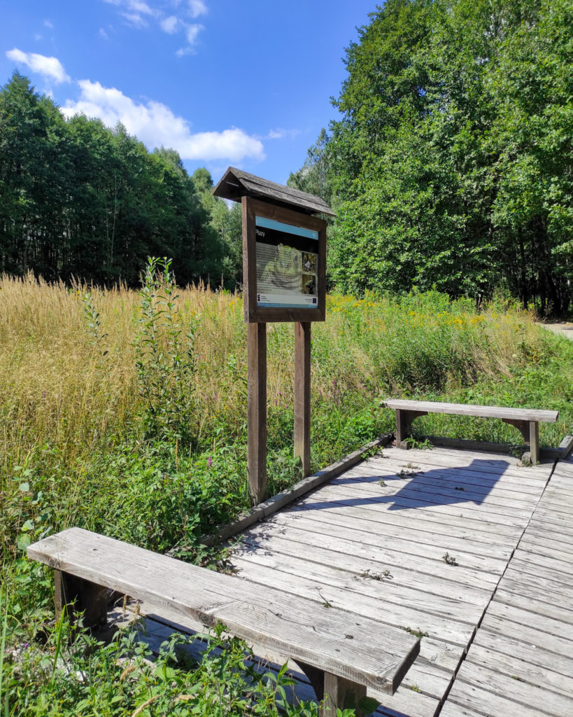 Poleski Park Narodowy, Poleski PN, lubelske, ścieżka przyrodnicza, stacja