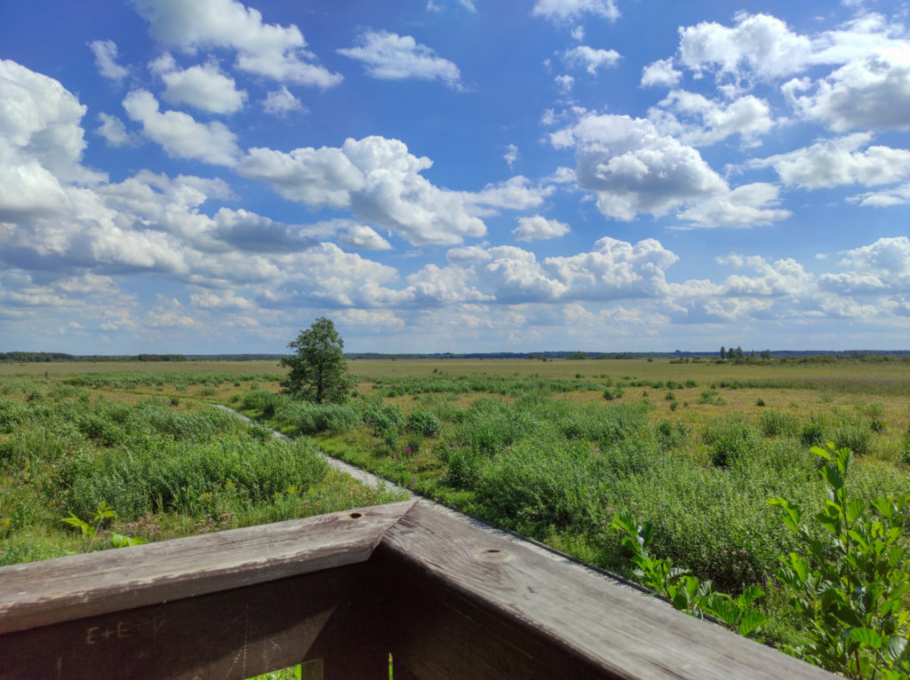 Poleski Park Narodowy, Poleski PN, lubelske, ścieżka przyrodnicza, stacja