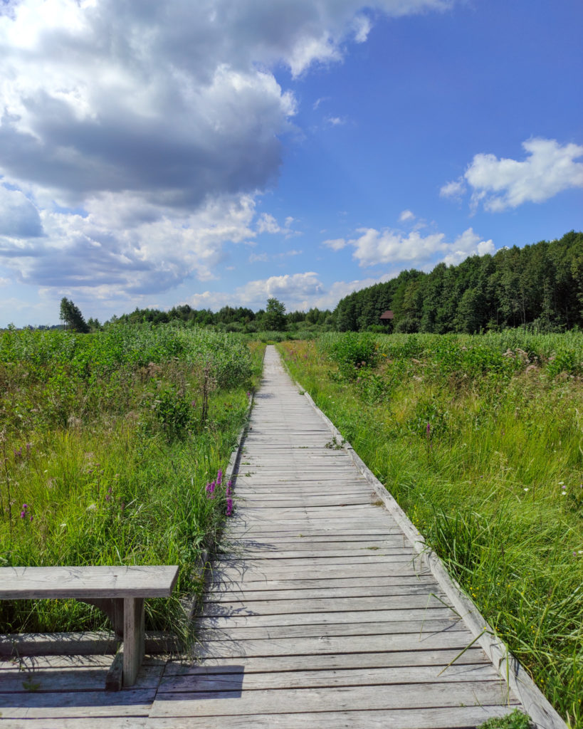 Poleski Park Narodowy, Poleski PN, lubelske, ścieżka przyrodnicza, stacja