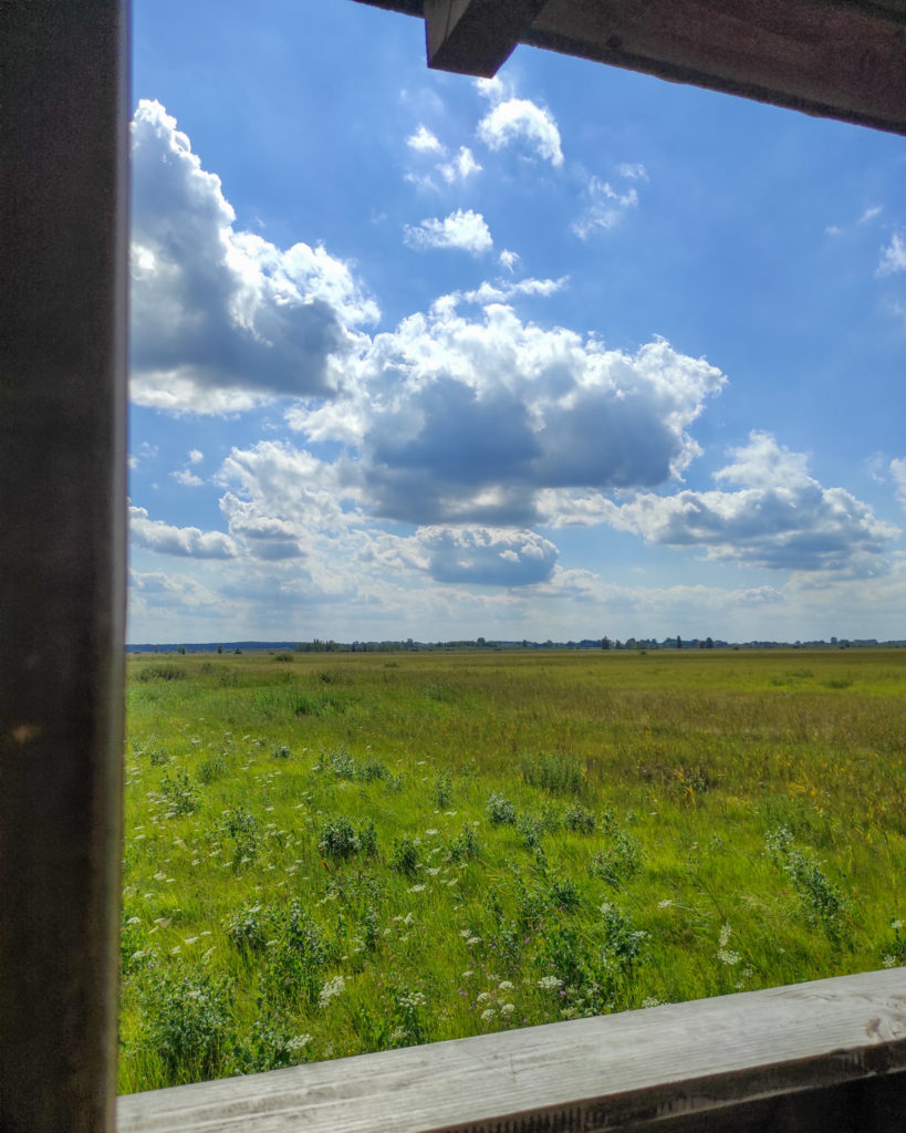 Poleski Park Narodowy, Poleski PN, lubelske, ścieżka przyrodnicza, stacja