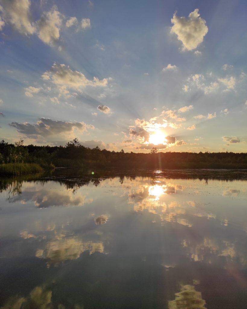 Poleski, Poleski Park Narodowy, ścieżka przyrodnicza "Dąb Dominik", na szlaku z psem