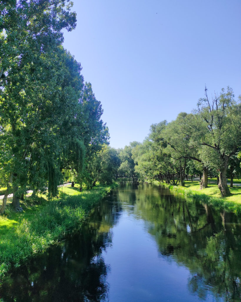 Brodnica, Kujawsko-Pomorskie, żółty szlak, na szlaku z psem