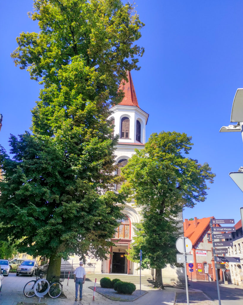 Brodnica, Kujawsko-Pomorskie, żółty szlak, na szlaku z psem