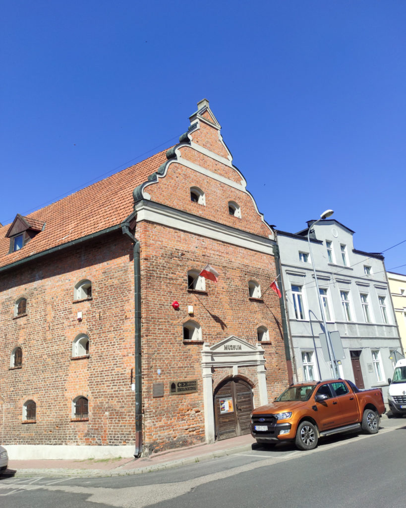 Brodnica, Kujawsko-Pomorskie, żółty szlak, na szlaku z psem