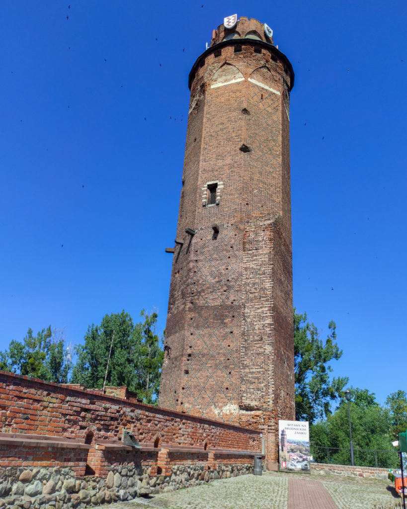 Brodnica, Kujawsko-Pomorskie, żółty szlak, na szlaku z psem