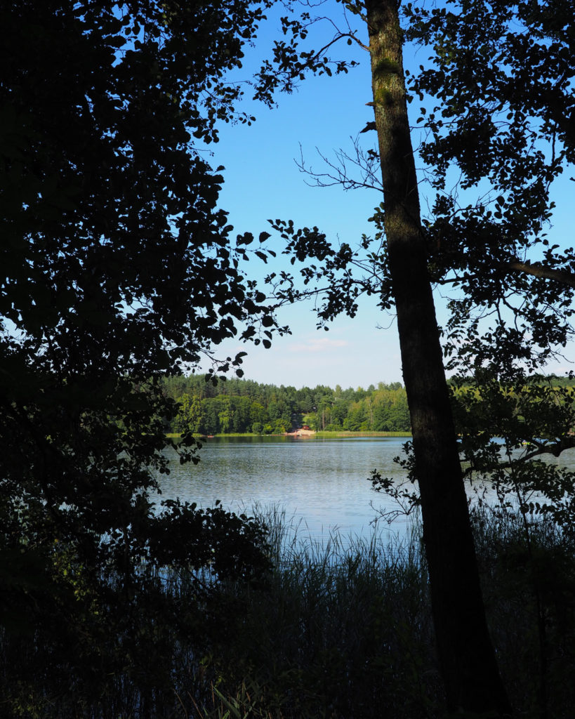 Brodnicki Park Krajobrazowy, Kujawsko-Pomorskie, żółty szlak, na szlaku z psem