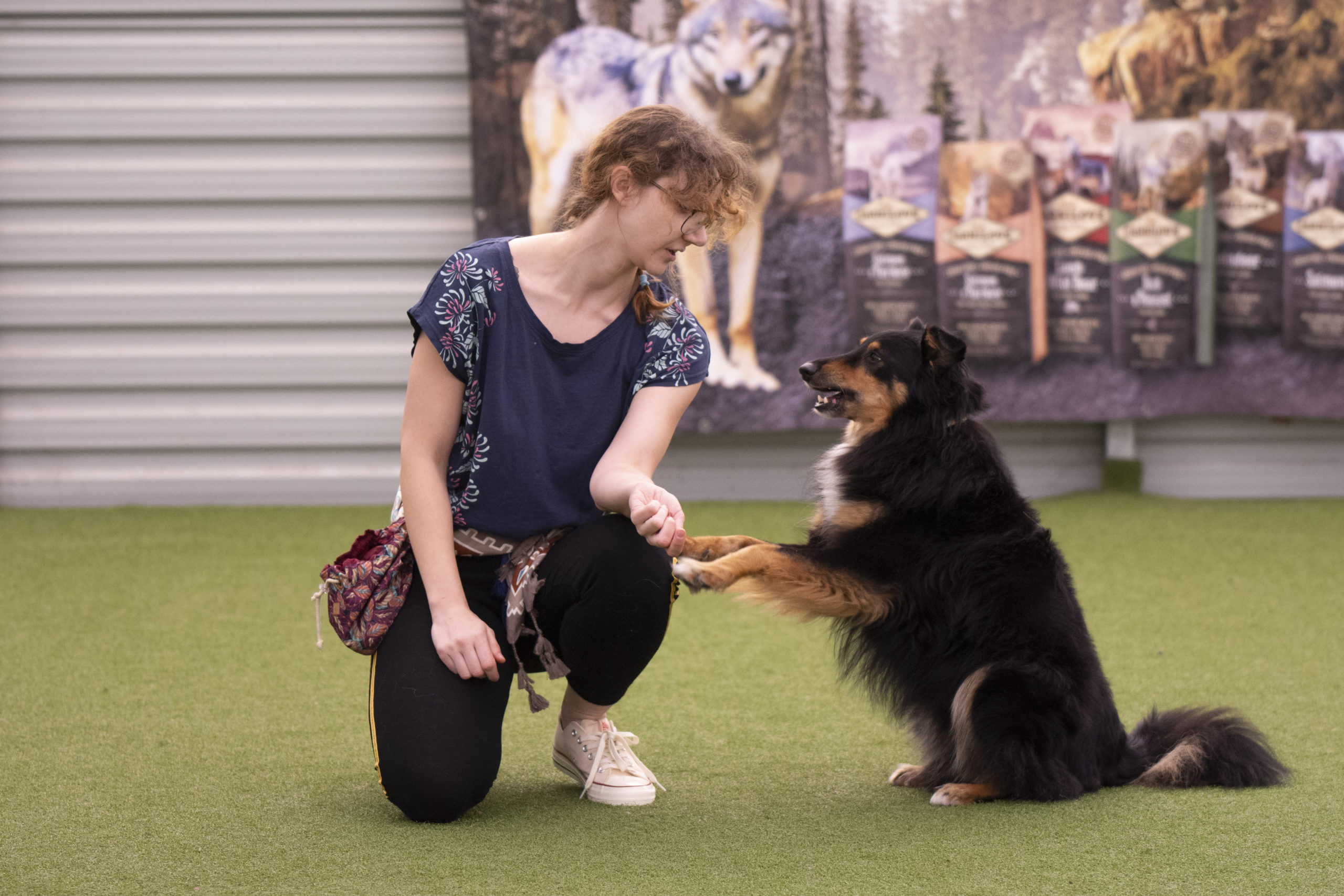 dog dancing, zawody treningowe, zawody o tarcze północy, gdynia