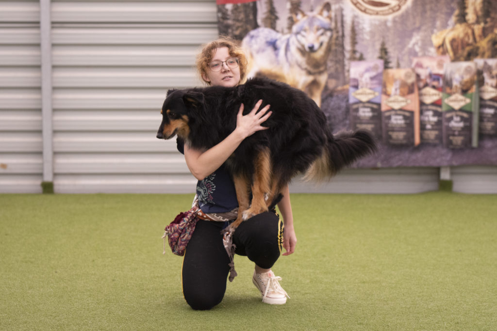 dog dancing, zawody treningowe, zawody o tarcze północy, gdynia